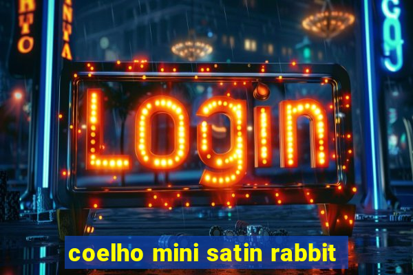 coelho mini satin rabbit